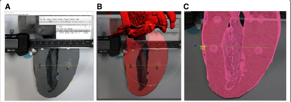 Fig. 2 Digital photographic measurement technique. a-d Four discrete 3D model features (a Feature 1, b Feature 2, c Feature 3, and d Feature 4)were chosen for measurement, based on their accessibility on an exterior surface and the fact that they had disti