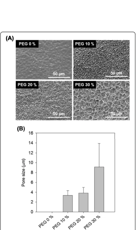Figure 2 Scanning electron micrographs of paclitaxel (PTX)incorporated PU membranes before and after washing process.