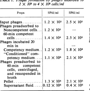 Table 2 shows the results of an experiment in which 75-min competent cells were incubated with various multiplicities of SPO2 phages for 20 TABLE 2