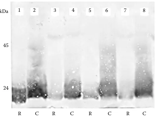 Figure 1. Cross reactivity of IVA-50 with rabbit platelets and tissues1, 2 – platelets; 3, 4 – kidney; 5, 6 – small intestine; 7, 8 – spleen;C – cattle; R – rabbit