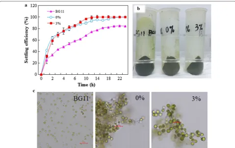 Fig. 5 Settling efficiency of Chlorella sorokiniana SDEC-18 in BG11, and in seawater with 0 and 3% anaerobically digested effluent from kitchen waste after 10-day cultivation