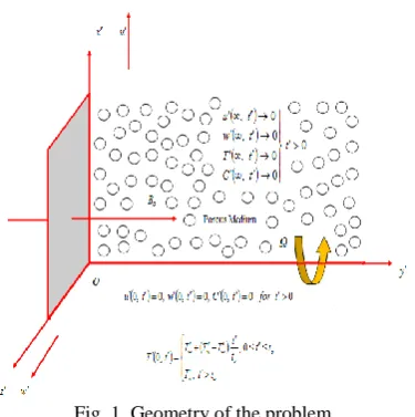 Fig. 1. Geometry of the problem 