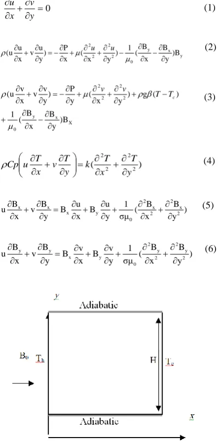 Fig. 1. Geometry and coordinates of cavity configuration with magnetic effect 