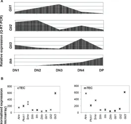 Figure 2. Expression of components of the Hh signalling pathway in embryonic thymocytes and
