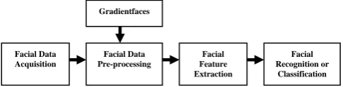 Fig. 3  Sample images of the Youtube Makeup Face Database with non-  makeup face images   
