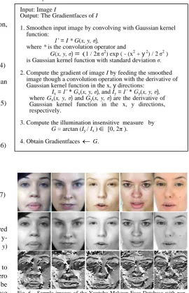 Fig. 6   Sample images of the Youtube Makeup Face Database with non- makeup face images (upper row), corresponding grayscale images (middle row) and the corresponding Gradientfaces processed images (lower row))  