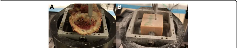 Fig. 3 (a) Close-up image of bur in its holder attached at top motor sweeping across the specimen (human vertebrae) that is clamped within acup on the bottom motor