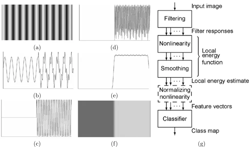 Figure 2.1: Process of applying a single ﬁlter to an input texture image of two dominantfrequencies (a)