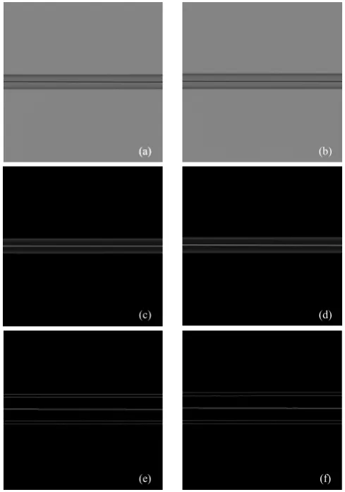 Fig. 4(b), respectively. Fig. 4(g) is the image after 72 