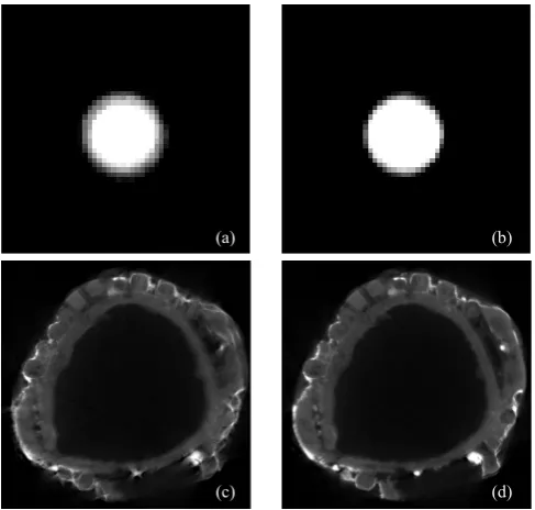 Fig. 7. Reconstruction results comparison of before and after calibration of micro focus CBCT