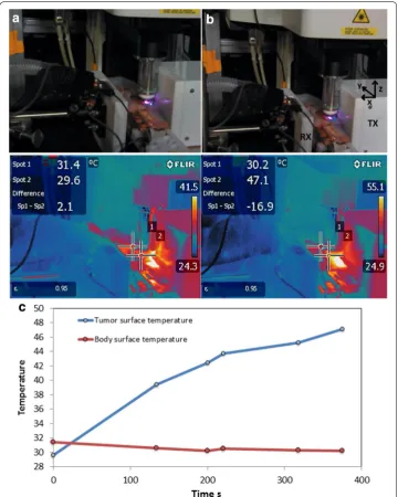 Fig. 4 Temperature measurement during the course of IVM imaging under RF field exposure