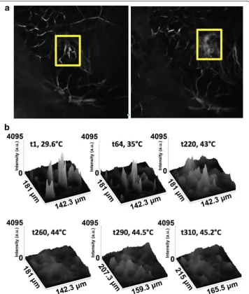 Fig. 7 Surface intensity plots of Alexafluor‑647 BSA perfusion during RF exposure. a Images displaying the region of interests at (left) start of RF field exposure and (right) at 310 s time point of RF field exposure