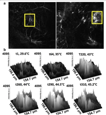 Fig. 9 Surface intensity plots of QD perfusion during RF exposure. at (a Images displaying the region of interests left) start of RF field exposure and (right) at 310 s time point of RF field exposure