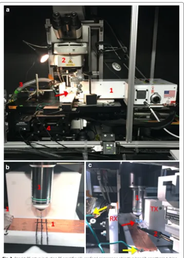 Fig. 2 (Panel a RF setup including RF amplifier (1), confocal microscope objective lens (2), anesthesia tubing 3) coming from behind the microscope stage and XYZ servo‑controller (4) for the mouse stage (indicated by the red arrow) above the microscope sta
