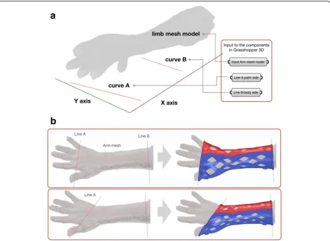 Fig. 4 Input stage and guideline. a The limb mesh model is placed upon XY plane along X-axis with the palm facing up
