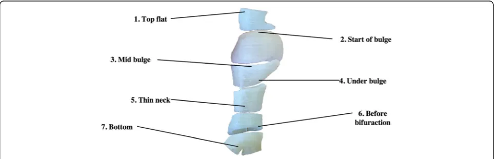 Fig. 6 a AAA model printed with PVA support structure. b model after PVA support was dissolved in warm water bath