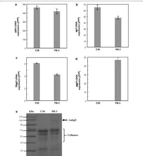 Fig. 3 Transcription of gene encoding cellulase (parent strain with standard deviation, which was calibrated by the  2a cbh1; b eg1; c Trbgl1; and d aabgl1)