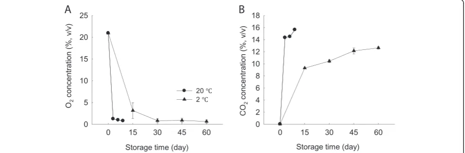 Figure 1 O2 and CO2 concentrations in modified atmosphere package in minimally processed WBS during storage at 20 and 2°C