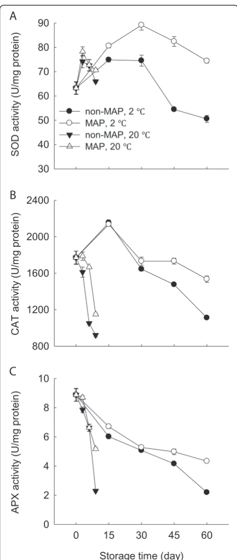 Figure 4 Effect of MAP on activities of SOD, CAT and APX ofminimally processed water bamboo shoot during storageat 20 and 2°C