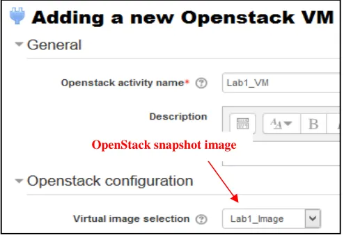 Fig. 4  OpenStack-Moodle plug-in: activity configuration form 