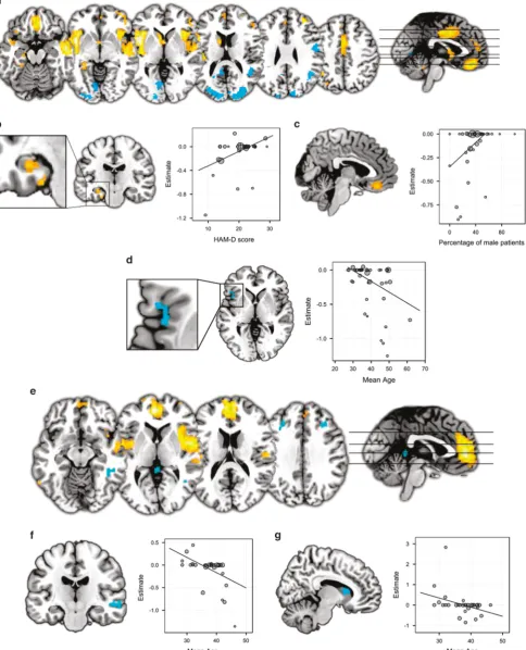 Figure 1. (a) Results of major depressive disorder (MDD) meta-analysis. (b) Results of meta-regression with depression severity in MDD.(c) Results of meta-regression with sex in MDD