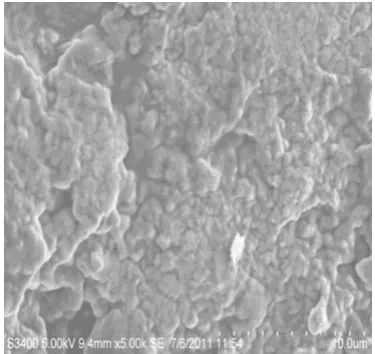 Fig. 3 XRD pattern of gold nanoparticles synthesized using C.guianensis