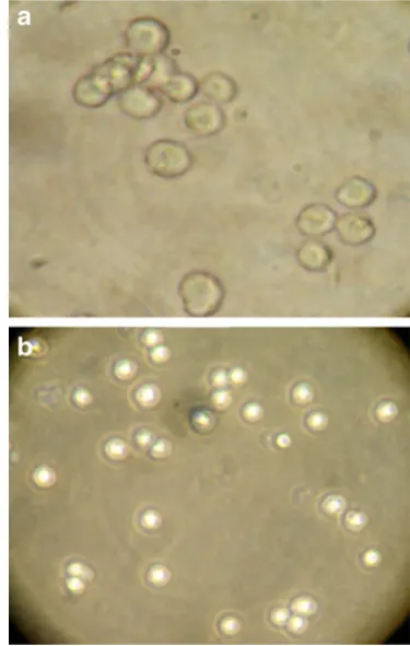 Fig. 7 a Control and b gold nanoparticles induced apoptosis