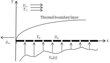 Fig. 1. Sketch of the physical model. 