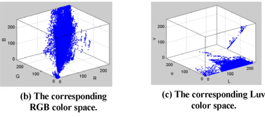 Figure 1 : Relationship between image, RGB and Luv space.  