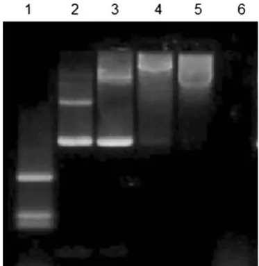 Fig. 4 Schematic of