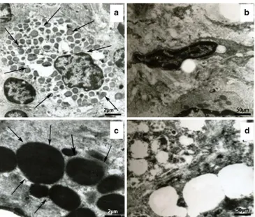 Fig. 7 The in vitro growth inhibition of the MCF-7 cells after trans-fection with DNA/ORMOSILNs complexes