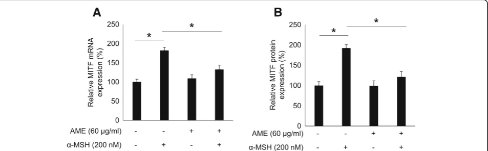 Fig. 4 Effects of A. muricata L. extracts on MITF expression in B16F10 melanoma cell. a Effects of A