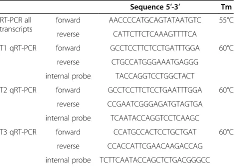 Figure 1 Aromatase expression in mouse fetal testis. A. Scheme showing the different testis aromatase variants (T1, T2 and T3)