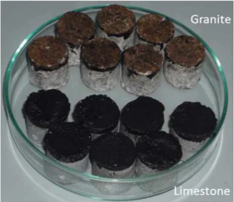 Figure 7.Sample loci of failure for moisture-induced damage in aggregate-asphalt mastic systems show-ing eﬀect of conditioning time and aggregate type