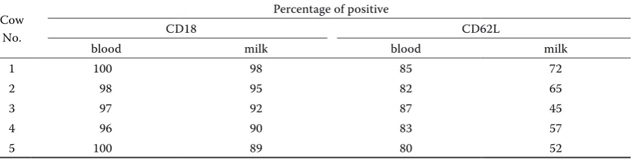 Table 2 Expression of CD18 and CD62L on bovine blood and milk leukocytes tested by an indirect immunofluo-rescence test