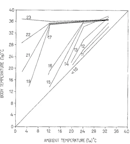 Fig. 9: Stabilized body temperature (vertical axis) of Norwegian lemmings at different ages as a function of ambient temperature (horizontal axis)