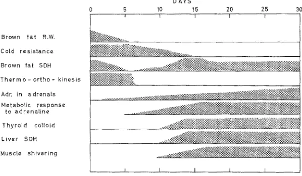 Fig. 10: The approximate changes in the different variables studied in young mice as a function of age