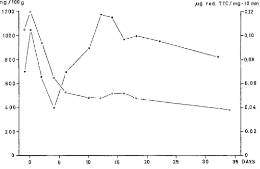 Fig. 2: Relative weight of interscapular and dorsocervical brown fat in milligrams per 100 grams of body weight (open circles: scale to leflc) and succinic dehydrogenase activity of 