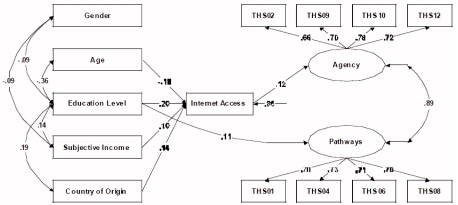 Fig. (1). Path diagram of associations between demographic predictors, Internet access, and overall happiness (N=800)