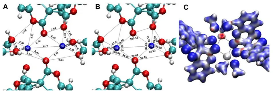 Figure 3 Space filled model of 1. A) Space filled model of 1. It has been shown here that sodium ions are embedded by dicoumarol ligandsB) Wide geometric cavity.