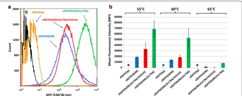 Fig. 4 Influence of synonymous amino acid substitutions and N39D replacement on the in vivo performance of sfGFP in P