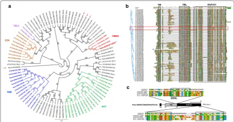 Fig. 1 Bioinformatics analysis of DUF231‑containing proteins in Arabidopsis and Populus