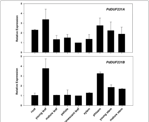 Fig. 2 Expression pattern of expression range in each tissue/organ was determined by comparing expression level of senescent leaf (set as 1)