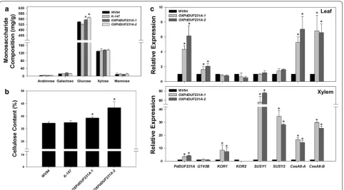 Fig. 5 Lignin content and enzymatic saccharification assay of OXPdDUF231A transgenic plants