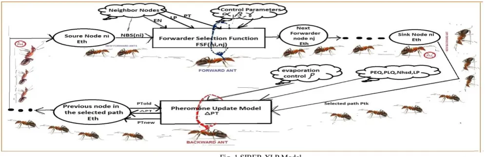 Fig. 1 SIBER-XLP Model conserving the energy of lower capable nodes thereby making them participate in packet processing/forwarding 