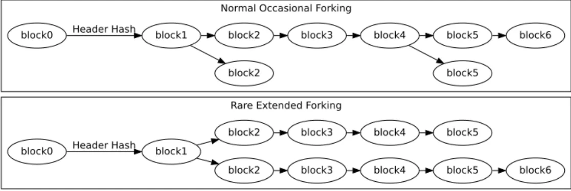 Figure 2.5: Forks in Blockchains [32]