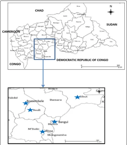 Fig. 1 Locations of sentinel sites for surveillance of influenza-like illness, Central African Republic, 2010–2015