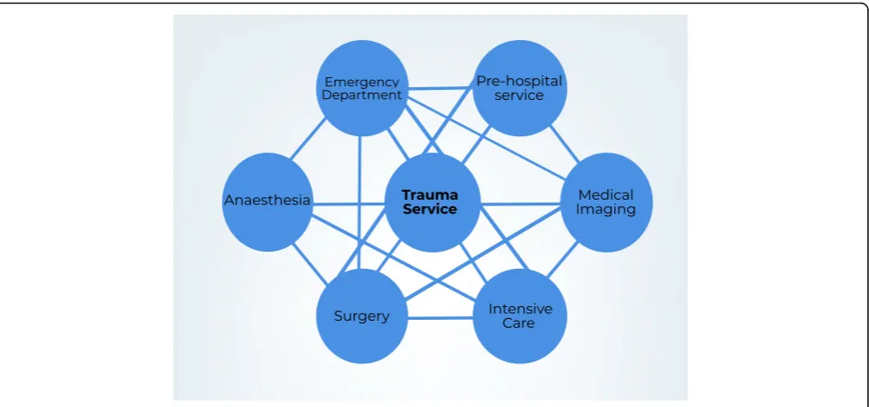 Fig. 2 Groups involved in trauma care
