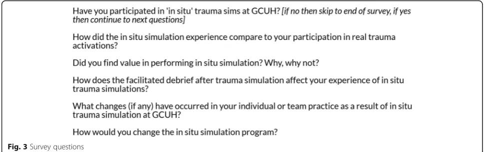 Fig. 3 Survey questions