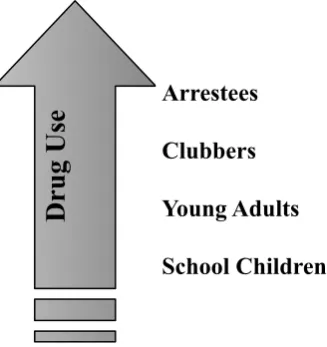 Figure 2:  The Levels of Drug Use by Group